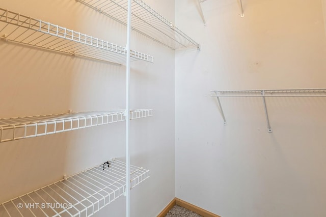 view of spacious closet