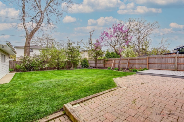 view of yard featuring a patio and a fenced backyard
