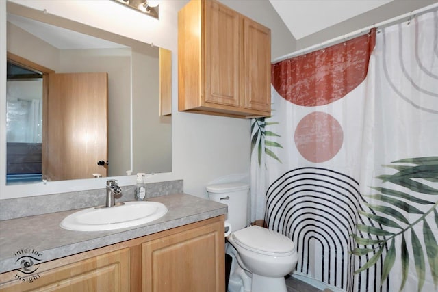 1372 Fox Hound Trl, Beecher, IL 60401 - bathroom with toilet, vanity, a shower with curtain, and lofted ceiling
