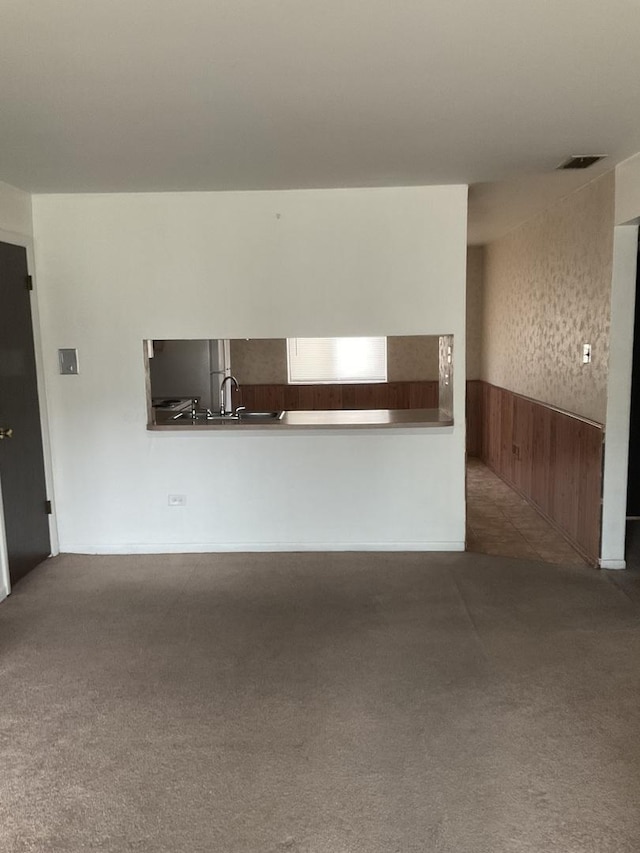 3010 Bernice Rd Unit 104, Lansing, IL 60438 - unfurnished living room featuring carpet floors, a wainscoted wall, and a sink