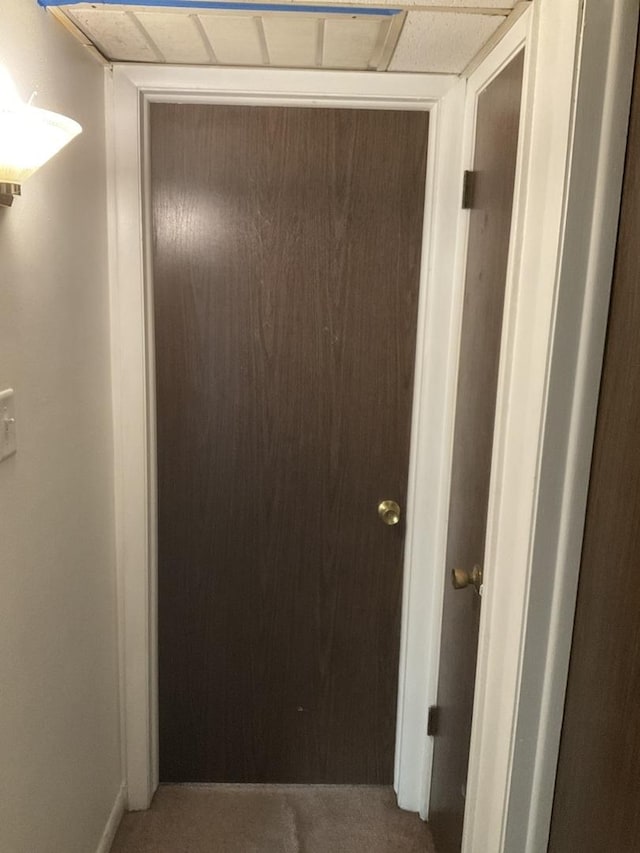 3010 Bernice Rd Unit 104, Lansing, IL 60438 - corridor featuring carpet floors