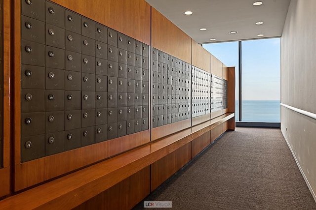 175 E Delaware Pl Unit 5019, Chicago, IL 60611 - corridor with mail area, carpet flooring, recessed lighting, and a water view