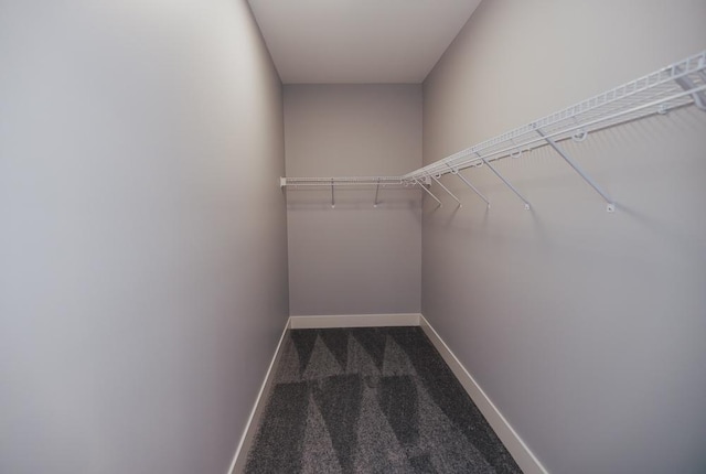 walk in closet with dark carpet