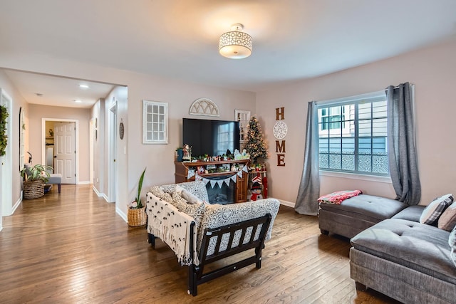 living area featuring wood-type flooring and baseboards