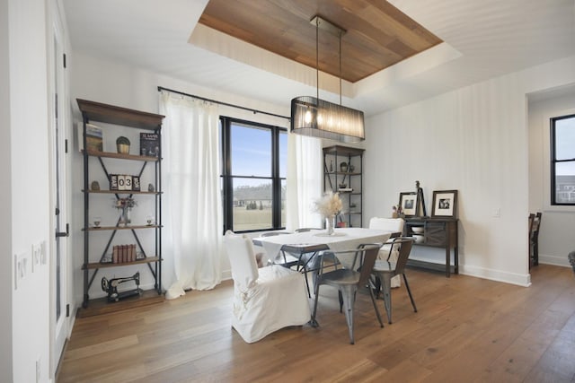 dining space with wood-type flooring, a raised ceiling, and a healthy amount of sunlight
