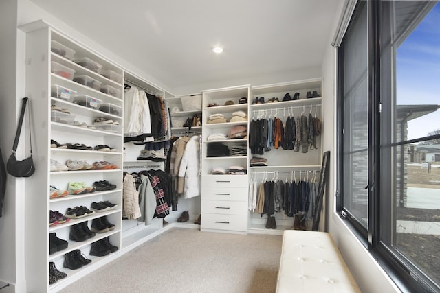 walk in closet with carpet