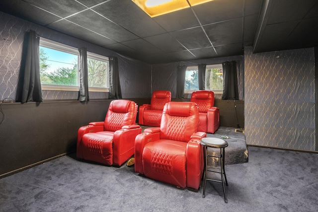 39540 N Channel View Dr, Antioch, IL 60002 - carpeted cinema featuring a paneled ceiling and baseboards