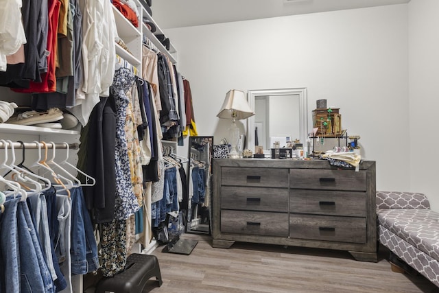 spacious closet with wood finished floors