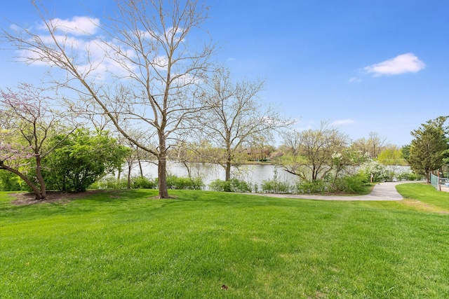 10 Wake Robin Ct, Woodridge, IL 60517 - view of yard with a water view