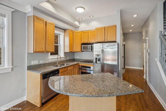 3755 N Wilton Ave Unit 3Se, Chicago, IL 60613 - kitchen featuring dark wood-style flooring, baseboards, recessed lighting, a sink, and stainless steel appliances