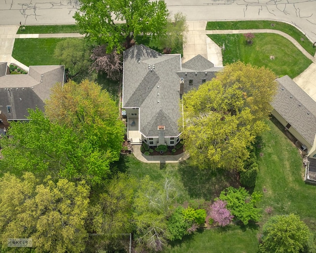 bird's eye view