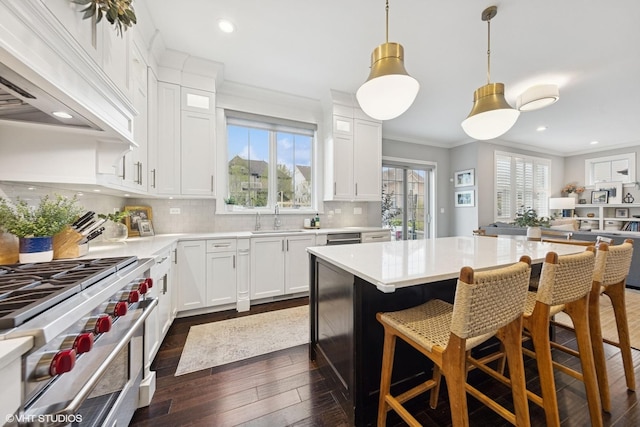 311 E Schiller St, Elmhurst, IL 60126 - kitchen featuring range with two ovens, premium range hood, a sink, ornamental molding, and healthy amount of natural light
