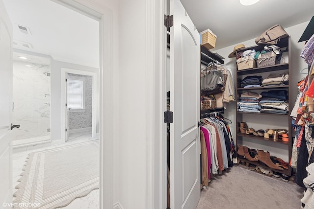 311 E Schiller St, Elmhurst, IL 60126 - spacious closet featuring carpet flooring