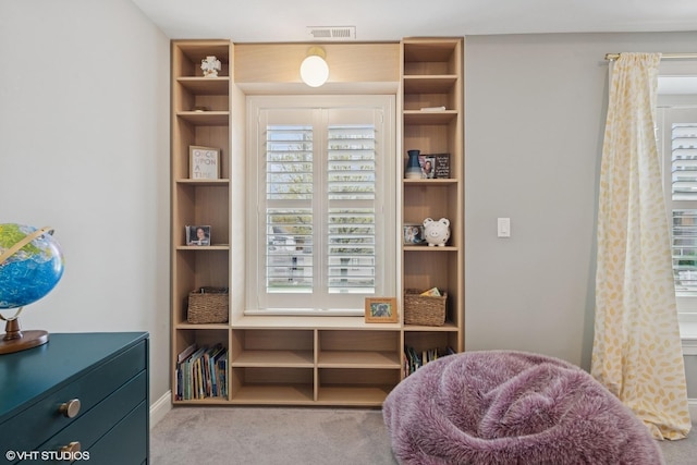 311 E Schiller St, Elmhurst, IL 60126 - sitting room featuring carpet and plenty of natural light