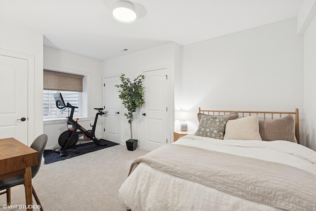 311 E Schiller St, Elmhurst, IL 60126 - view of carpeted bedroom