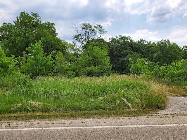 1999 N Fuller Rd, Gurnee, IL 60031 LAND for sale