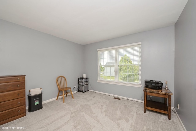 1757 Louisville Ln, Crystal Lake, IL 60014 - photo 20