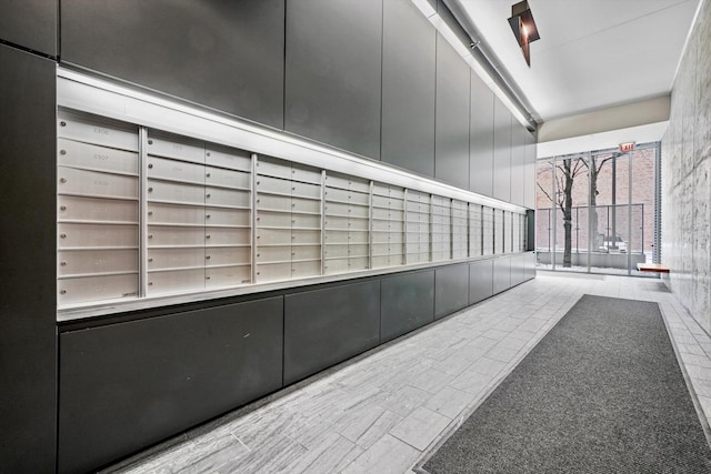 1720 S Michigan Ave Unit 2113, Chicago, IL 60616 - view of property's community with mail area