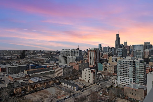1720 S Michigan Ave Unit 2113, Chicago, IL 60616 - view of city