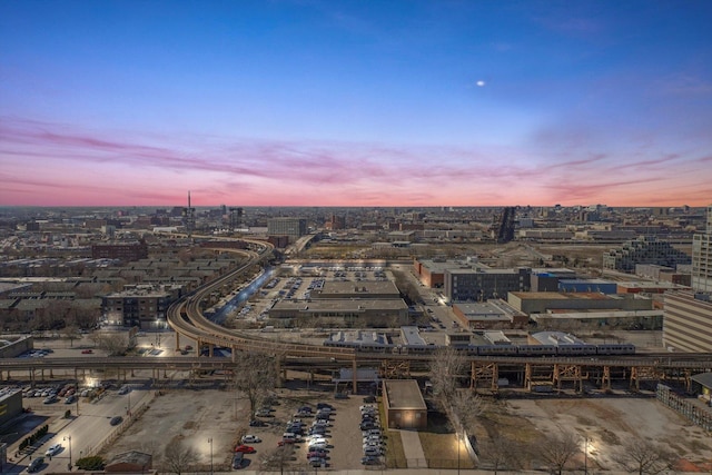 1720 S Michigan Ave Unit 2113, Chicago, IL 60616 - aerial view at dusk of a city view