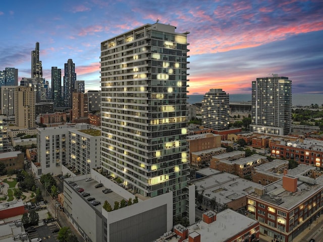 1720 S Michigan Ave Unit 2113, Chicago, IL 60616 - skyline view