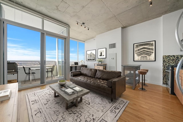 1720 S Michigan Ave Unit 2113, Chicago, IL 60616 - living room featuring light wood-style floors, rail lighting, and expansive windows