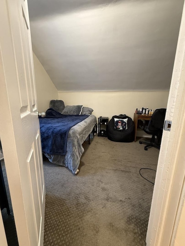 160 S Fordham Ave, Aurora, IL 60506 - bedroom with carpet flooring and vaulted ceiling