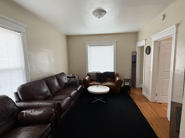 160 S Fordham Ave, Aurora, IL 60506 - living room with healthy amount of natural light and light wood-style flooring