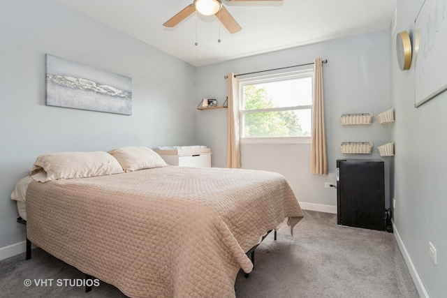 129 S Palmer Dr, Bolingbrook, IL 60490 - carpeted bedroom with baseboards and a ceiling fan