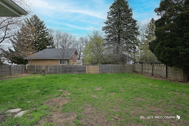 view of yard