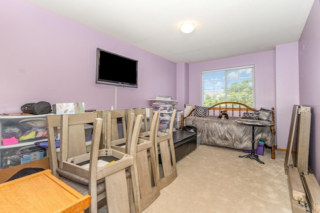 25743 S Red Stable Ln, Channahon, IL 60410 - photo 12