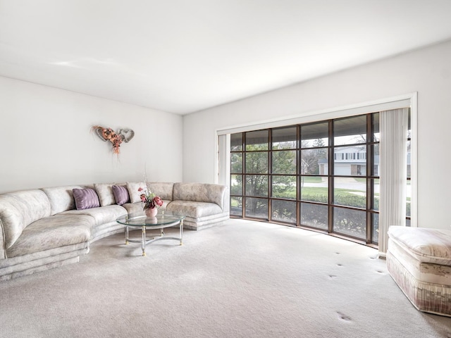 1602 S Surrey Ln, Arlington Heights, IL 60005 - living room featuring carpet flooring