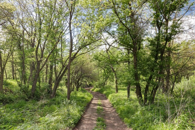 view of wooded area