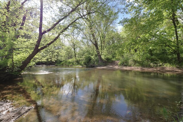 water view with a heavily wooded area