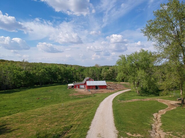 overview of rural landscape with a forest