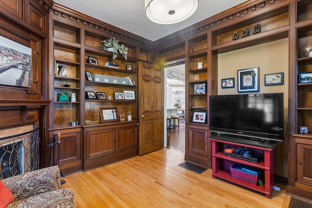 living area featuring light wood finished floors and a premium fireplace