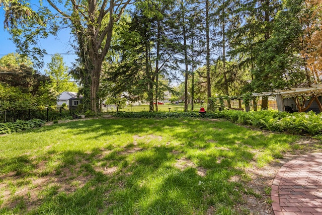 view of yard