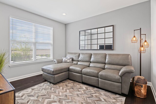 27025 Ashgate Xing, Plainfield, IL 60585 - living room with baseboards, wood finished floors, and recessed lighting