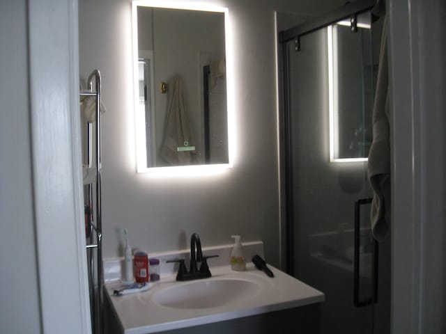 bathroom with vanity and a shower stall