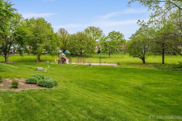 5S641 Bluff Ln, Naperville, IL 60540 - photo 37