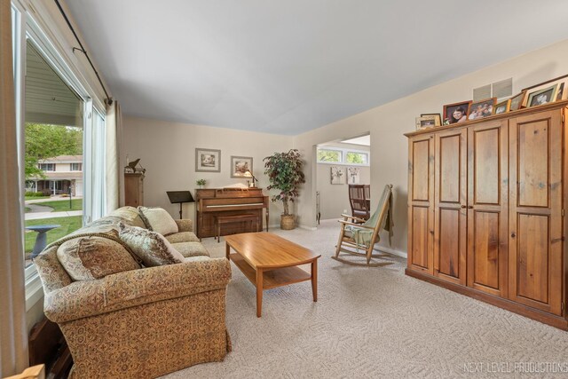 5S641 Bluff Ln, Naperville, IL 60540 - photo 6