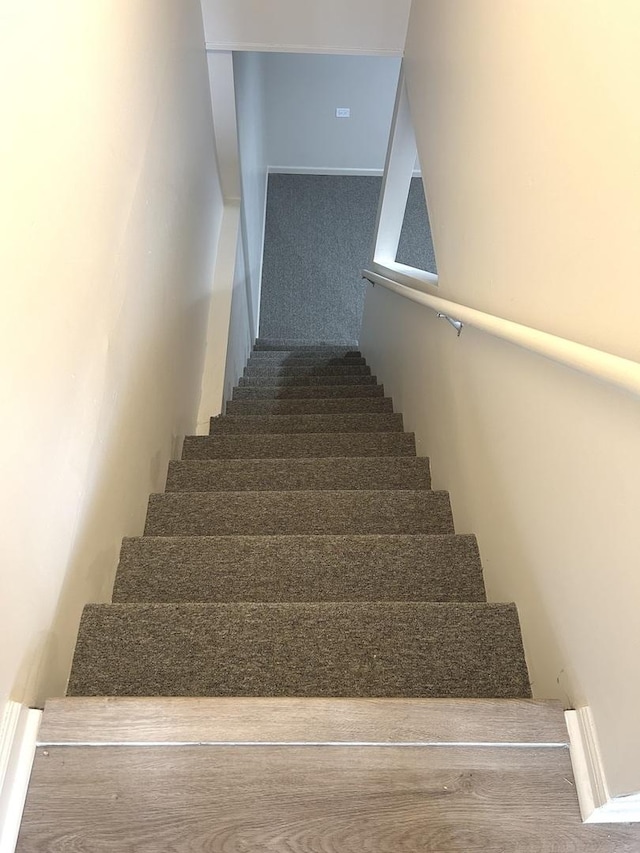 stairs with carpet