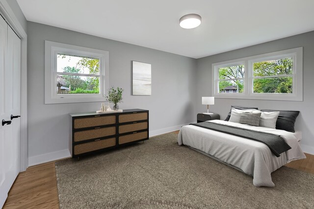 6340 Willow Springs Rd, La Grange Highlands, IL 60525 - bedroom featuring multiple windows, baseboards, a closet, and wood finished floors