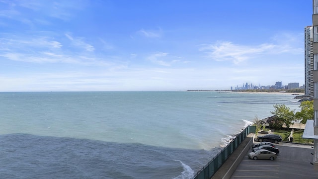 6301 N Sheridan Rd Unit 12C, Chicago, IL 60660 - water view