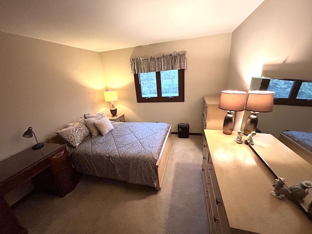 bedroom with carpet