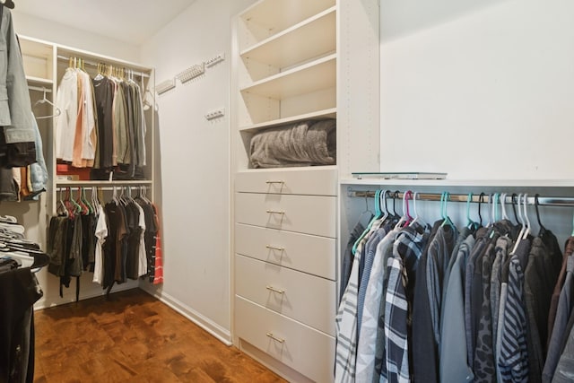 15 Red Tail Dr, Hawthorn Woods, IL 60047 - view of walk in closet
