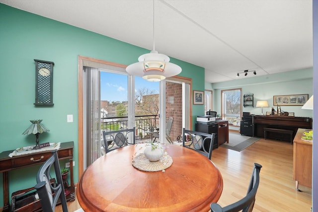 dining area featuring plenty of natural light, rail lighting, and light wood finished floors