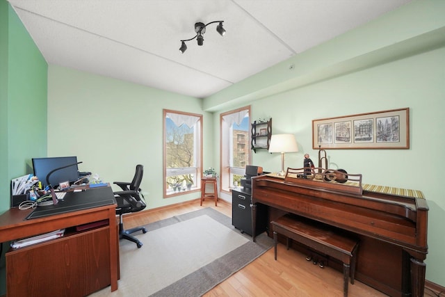 home office featuring wood finished floors