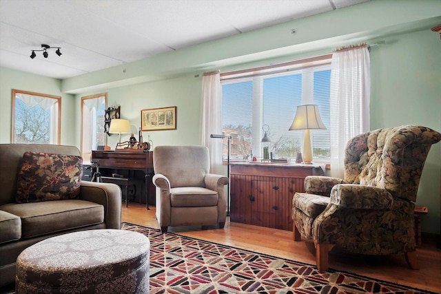 living area with a healthy amount of sunlight and wood finished floors