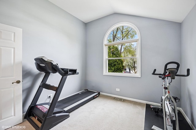701 N Coolidge Ave, Palatine, IL 60067 - exercise room with carpet, lofted ceiling, and baseboards
